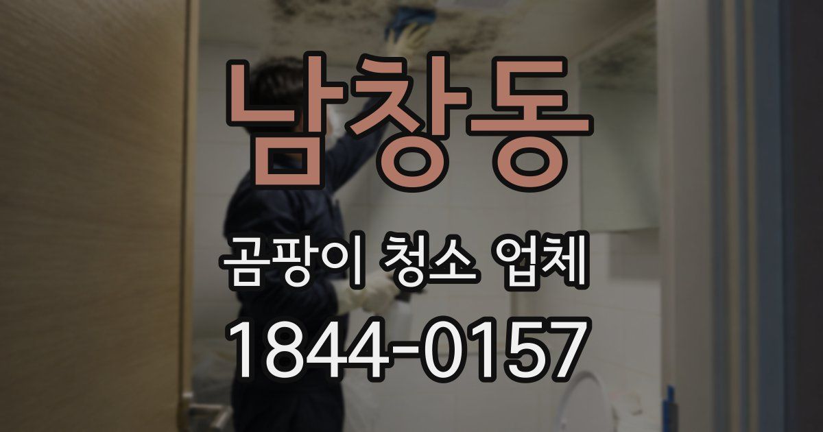 남창동 곰팡이 청소 업체