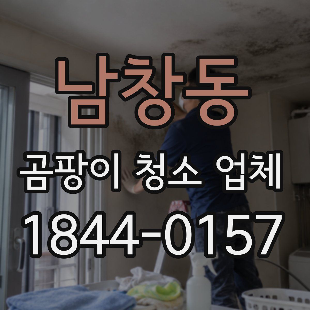 남창동 곰팡이 청소 업체