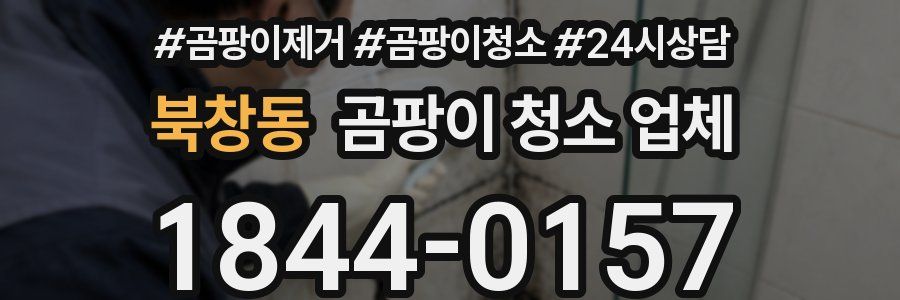 북창동 곰팡이 청소 업체