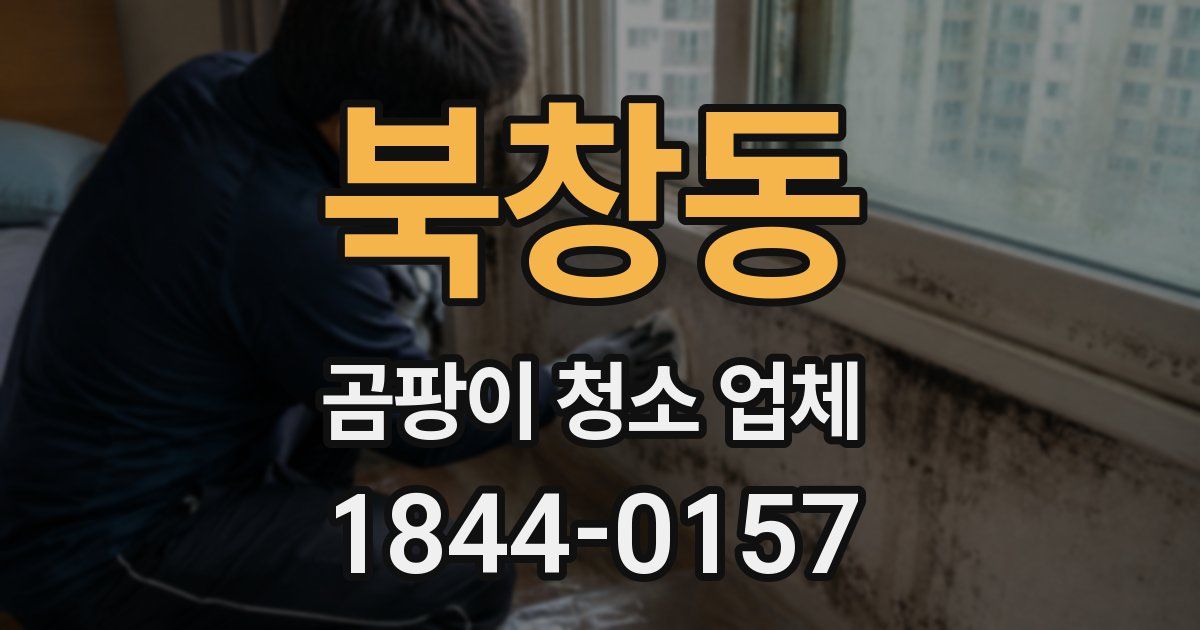북창동 곰팡이 청소 업체