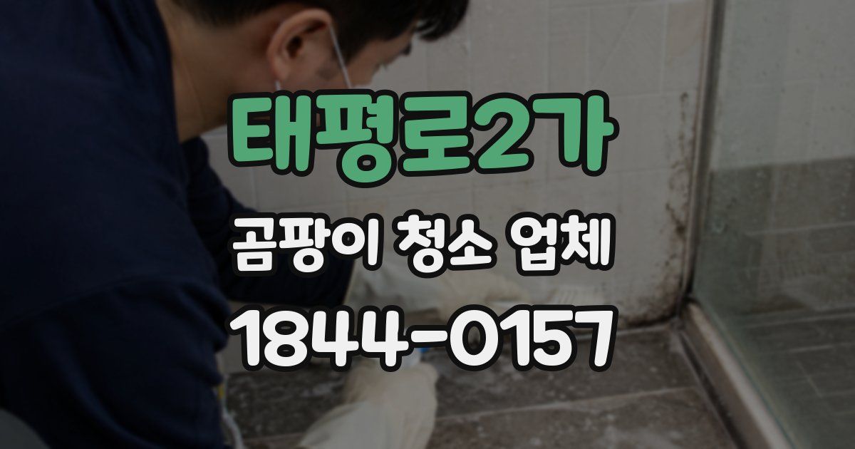 태평로2가 곰팡이 청소 업체