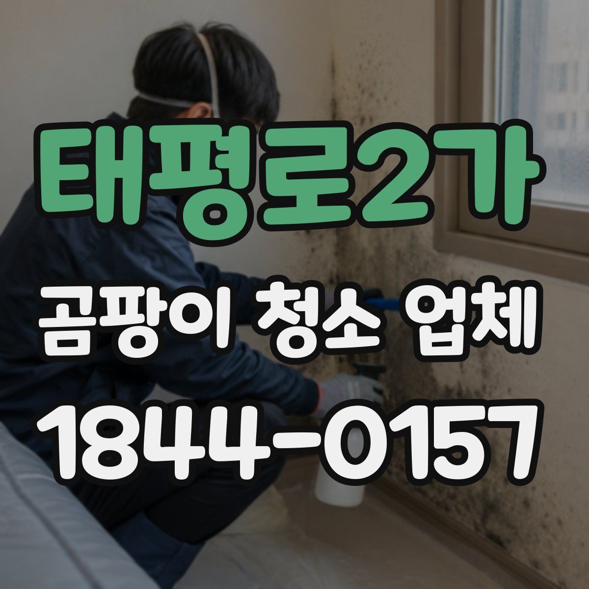 태평로2가 곰팡이 청소 업체