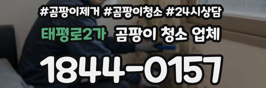 태평로2가 곰팡이 청소 업체