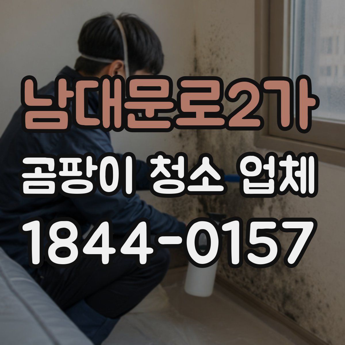 남대문로2가 곰팡이 청소 업체