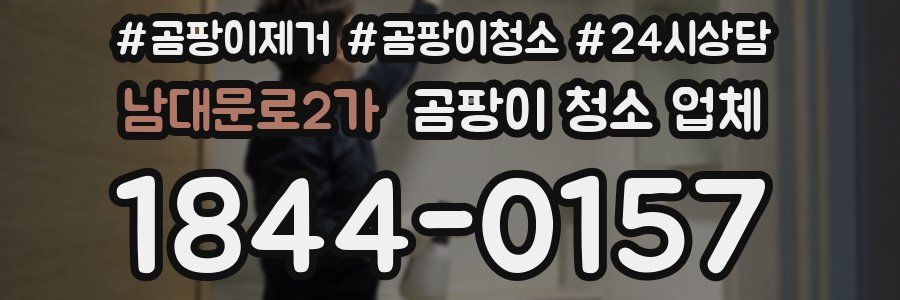 남대문로2가 곰팡이 청소 업체