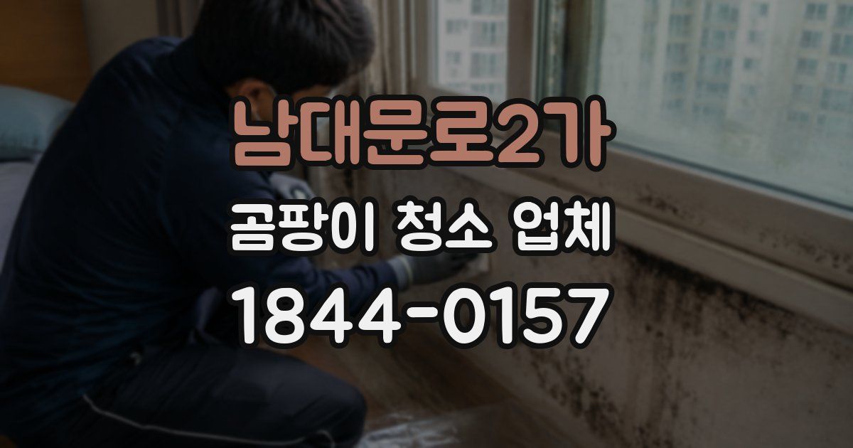 남대문로2가 곰팡이 청소 업체