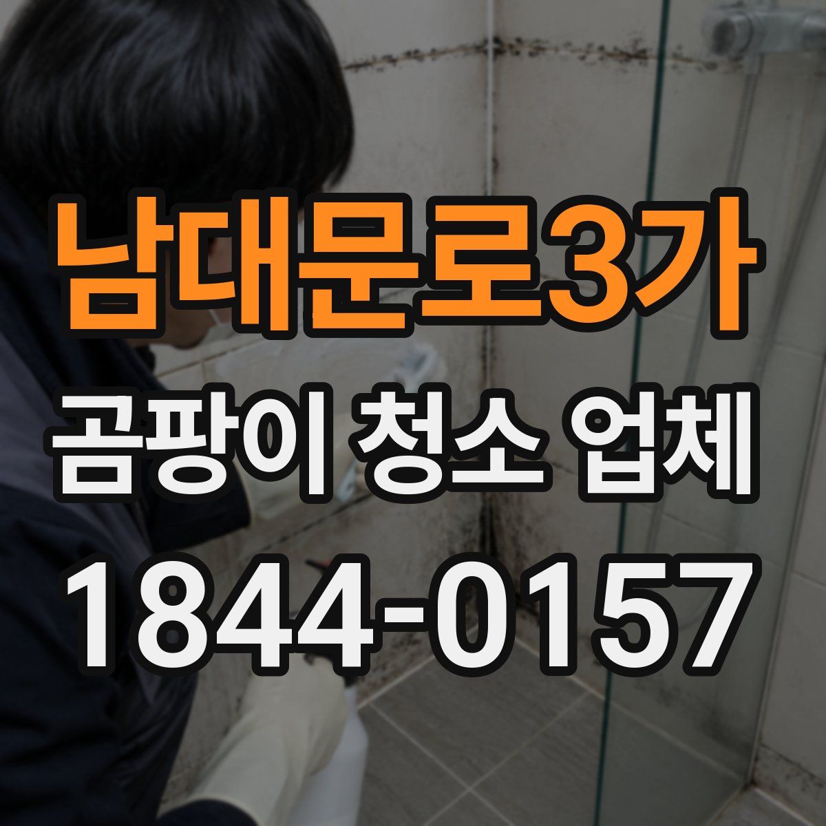 남대문로3가 곰팡이 청소 업체