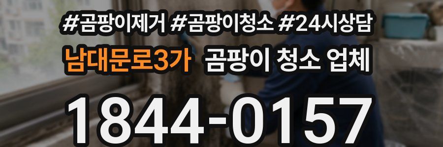 남대문로3가 곰팡이 청소 업체
