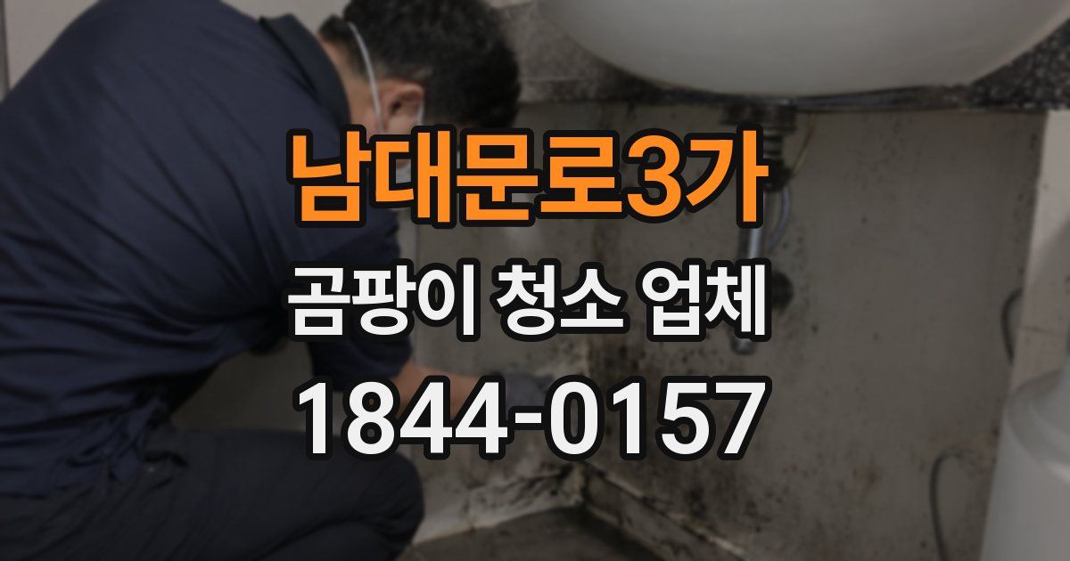 남대문로3가 곰팡이 청소 업체
