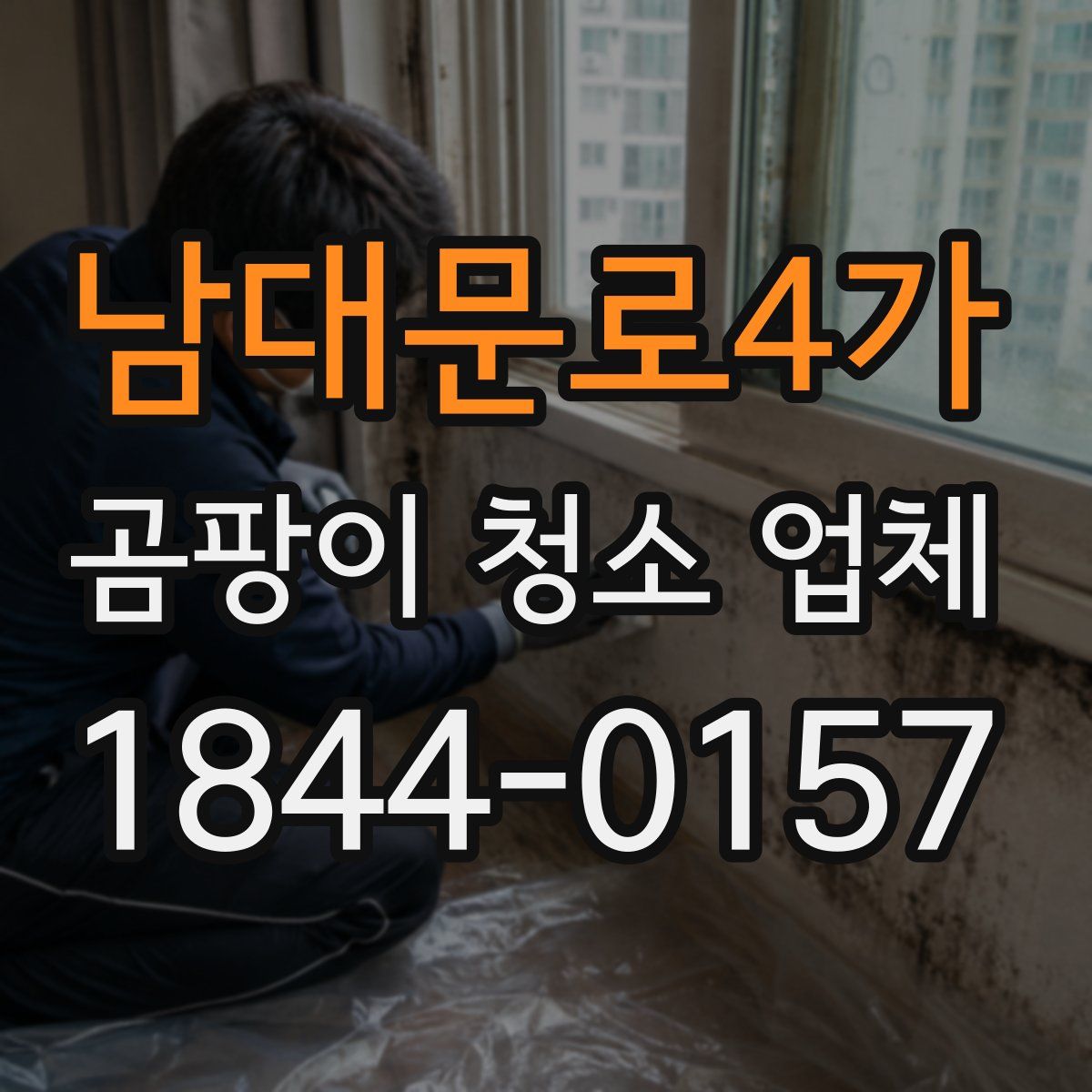 남대문로4가 곰팡이 청소 업체