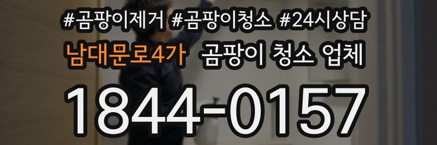 남대문로4가 곰팡이 청소 업체