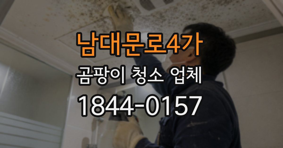 남대문로4가 곰팡이 청소 업체