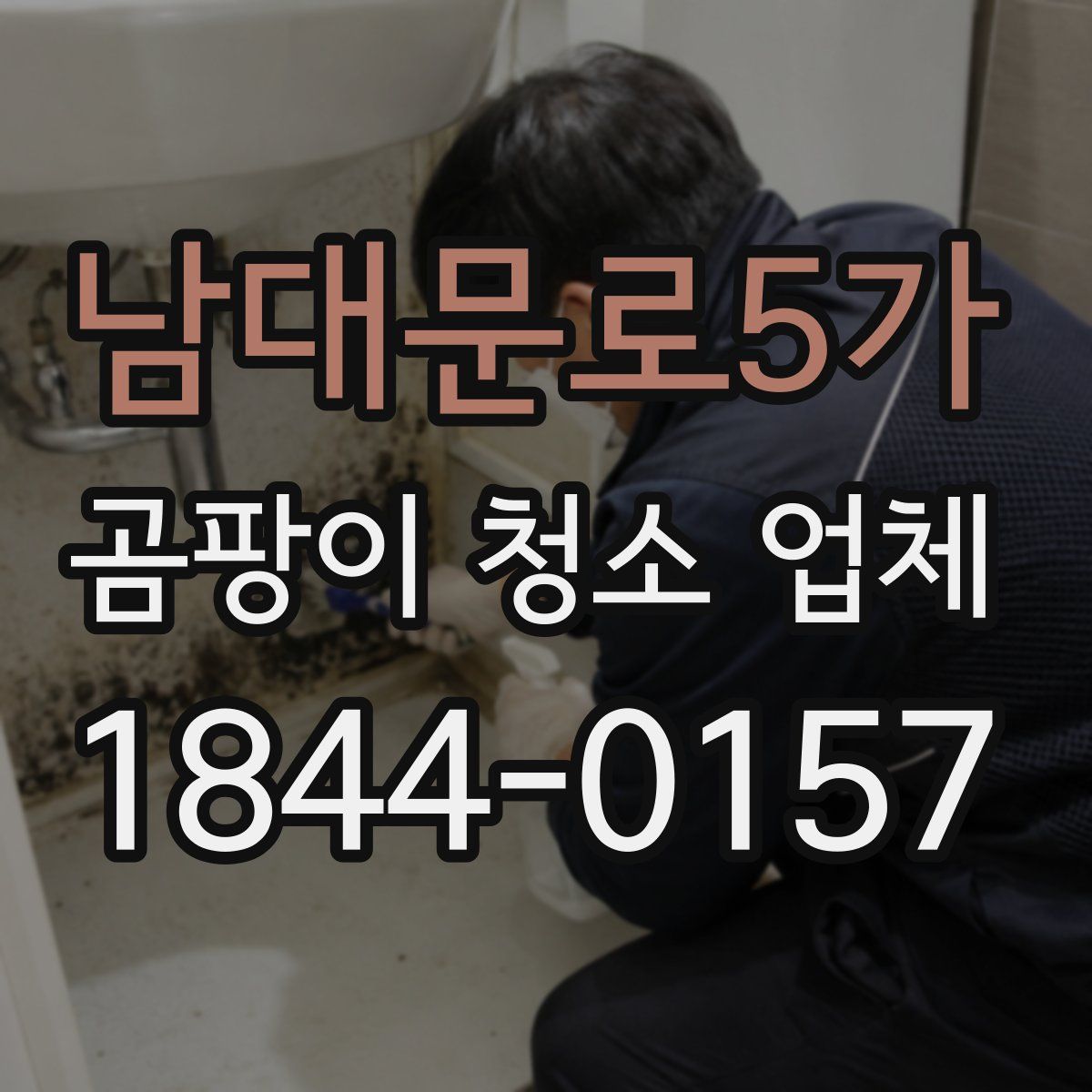 남대문로5가 곰팡이 청소 업체