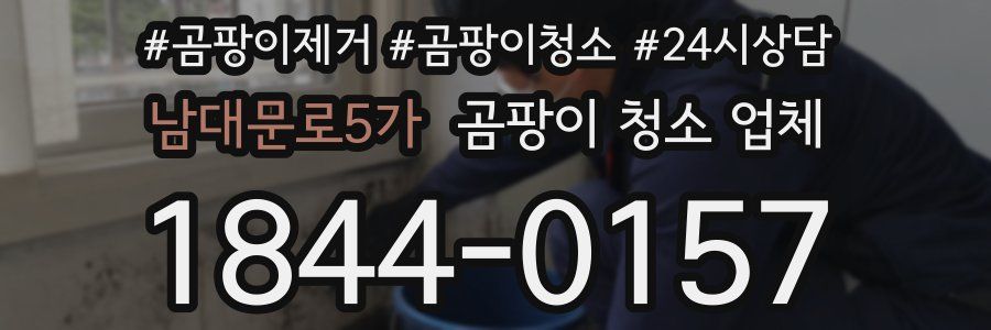 남대문로5가 곰팡이 청소 업체