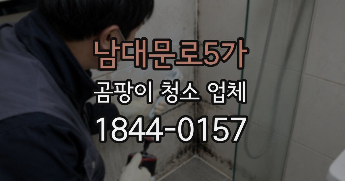 남대문로5가 곰팡이 청소 업체