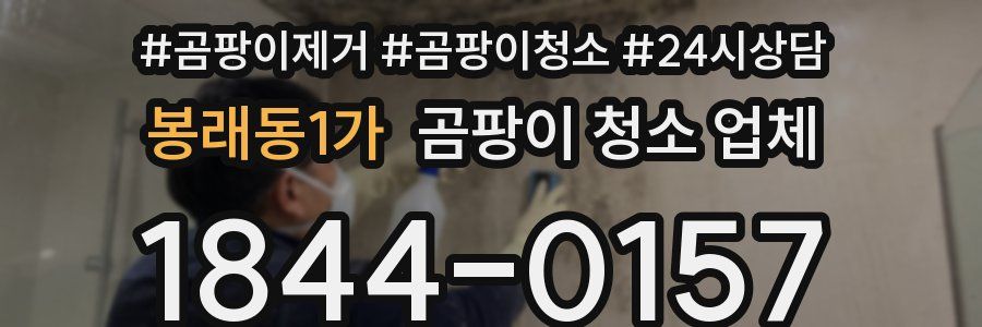 봉래동1가 곰팡이 청소 업체