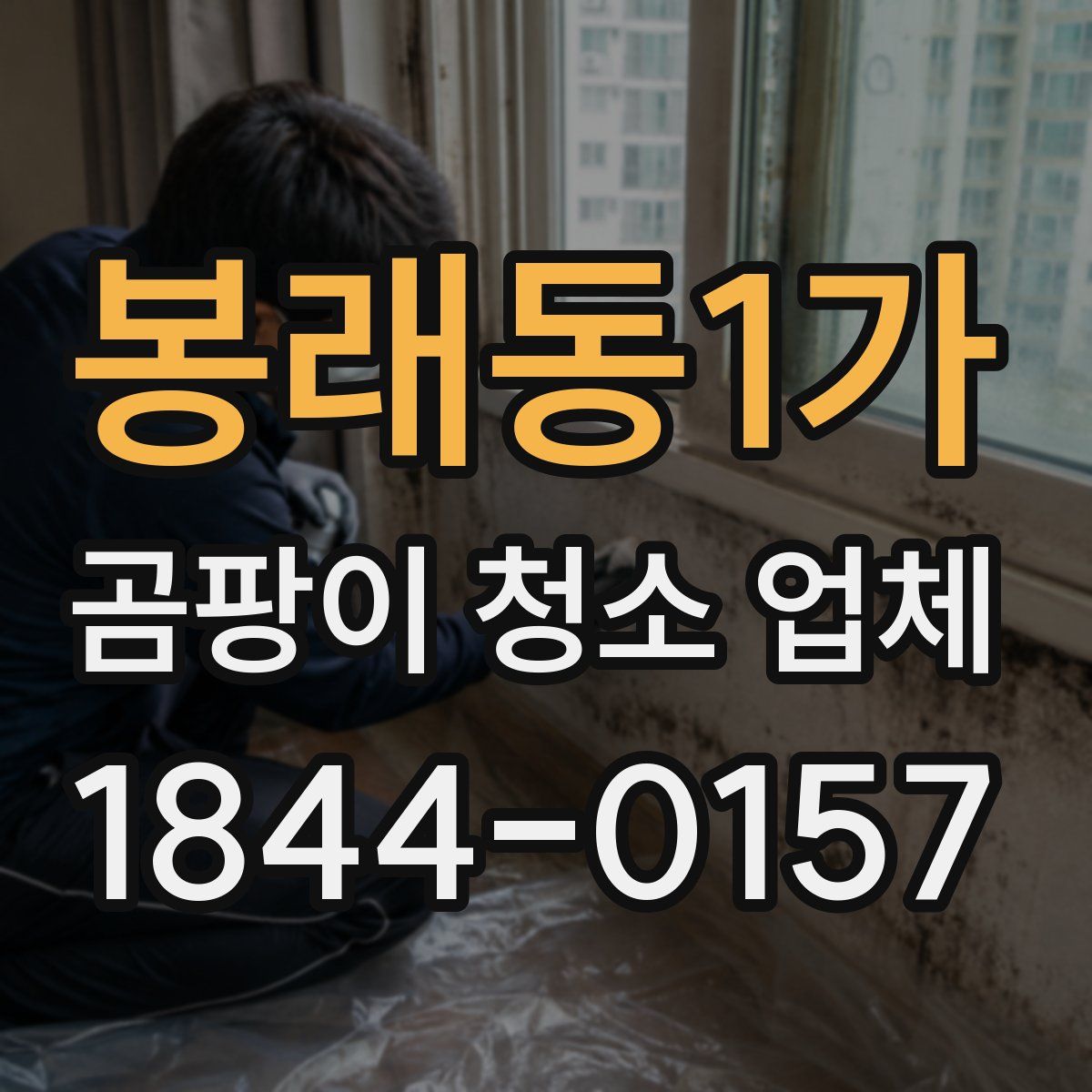 봉래동1가 곰팡이 청소 업체
