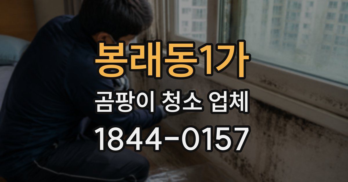 봉래동1가 곰팡이 청소 업체