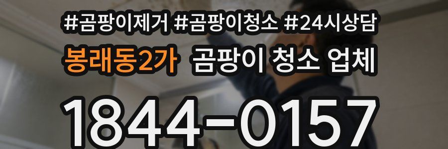봉래동2가 곰팡이 청소 업체