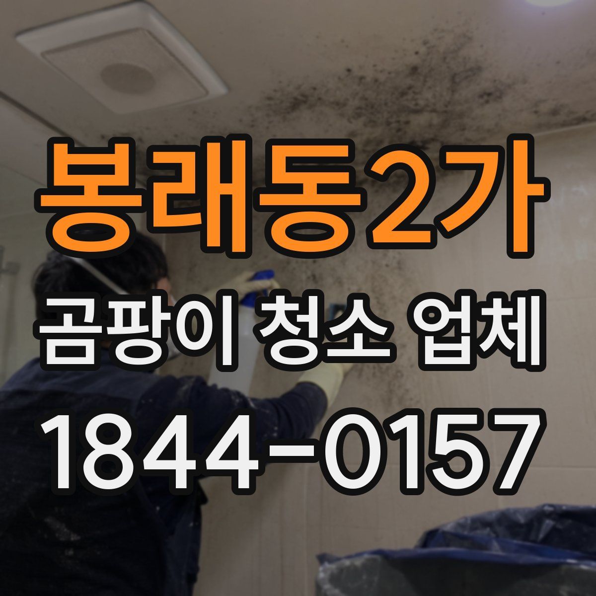 봉래동2가 곰팡이 청소 업체
