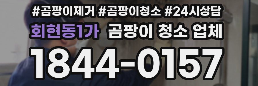 회현동1가 곰팡이 청소 업체