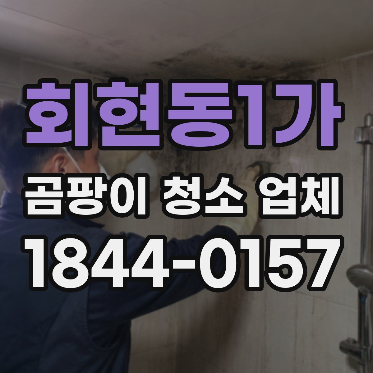 회현동1가 곰팡이 청소 업체