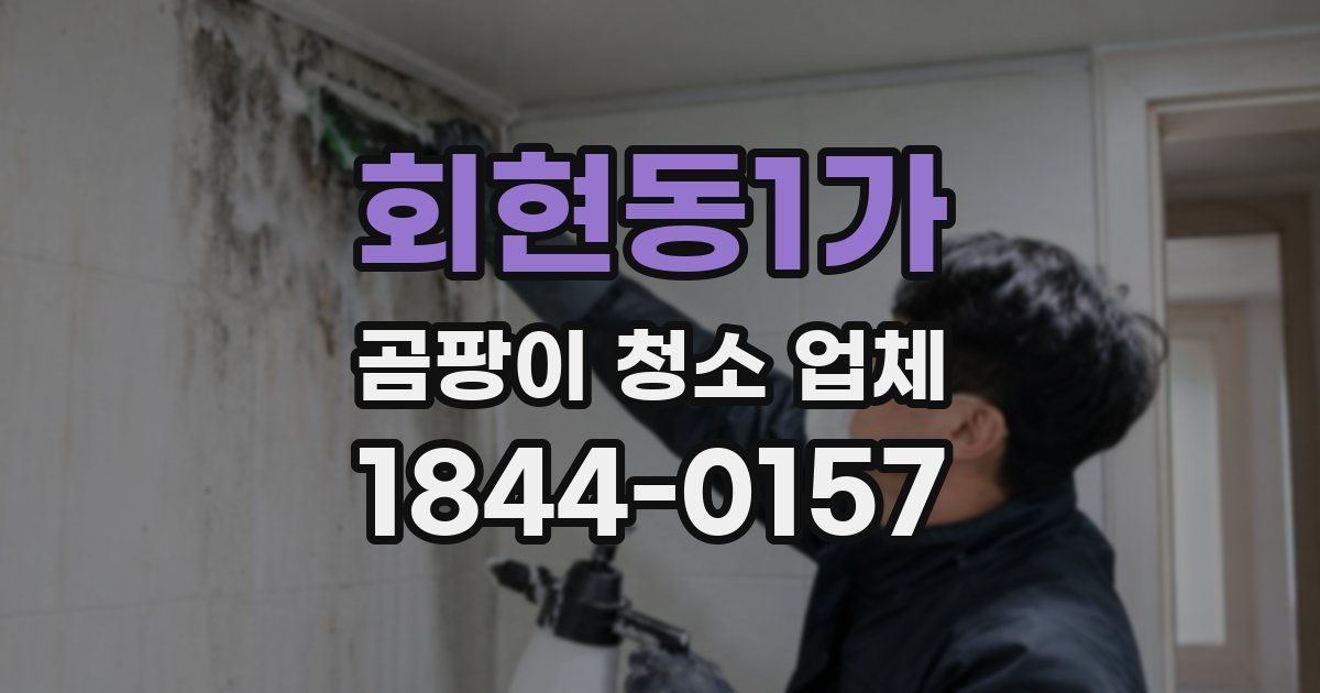 회현동1가 곰팡이 청소 업체