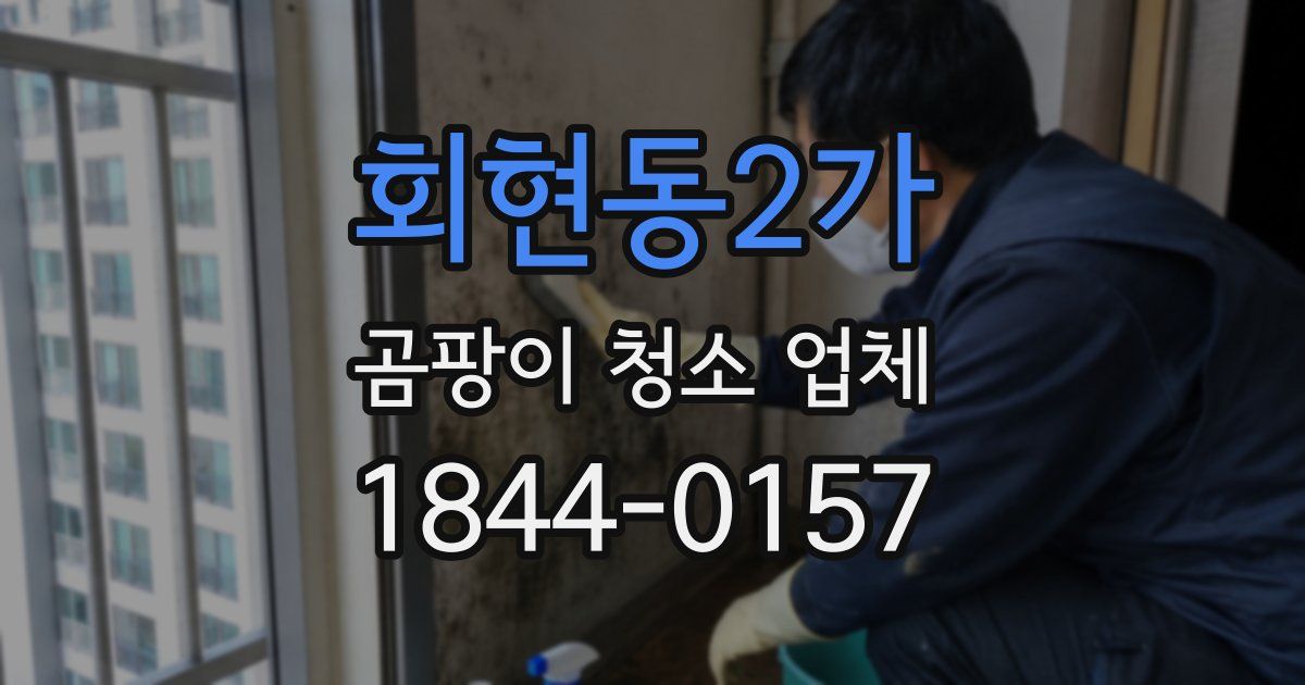 회현동2가 곰팡이 청소 업체
