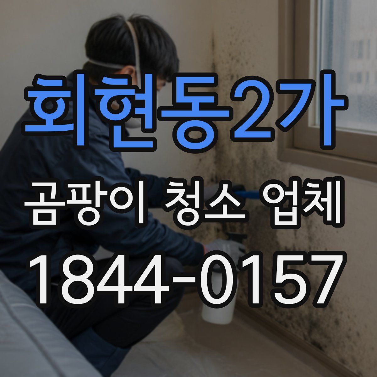 회현동2가 곰팡이 청소 업체