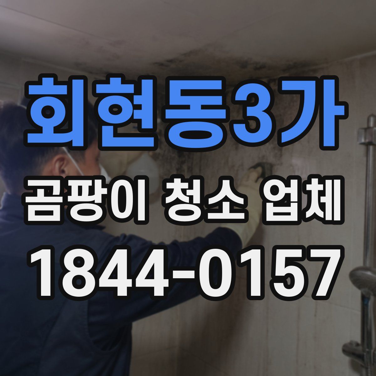 회현동3가 곰팡이 청소 업체