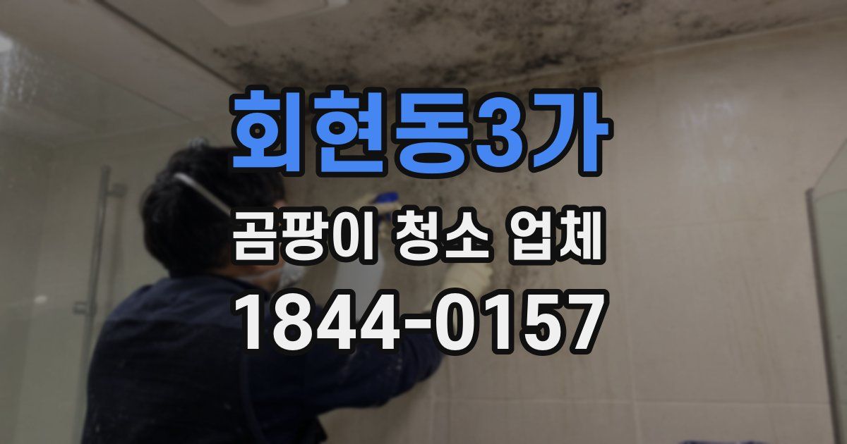 회현동3가 곰팡이 청소 업체