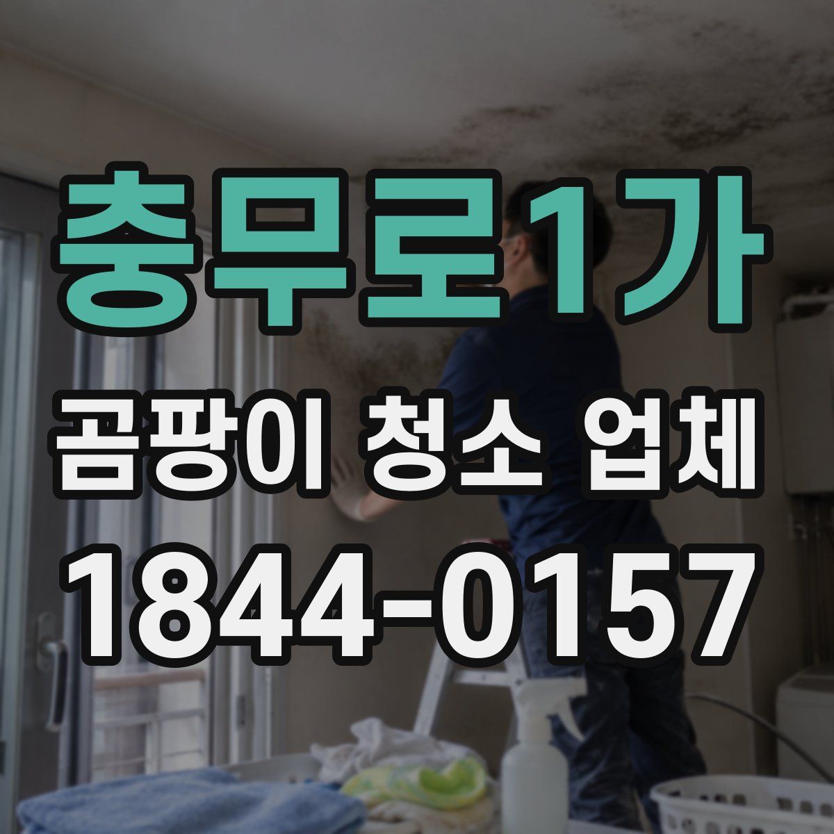 충무로1가 곰팡이 청소 업체