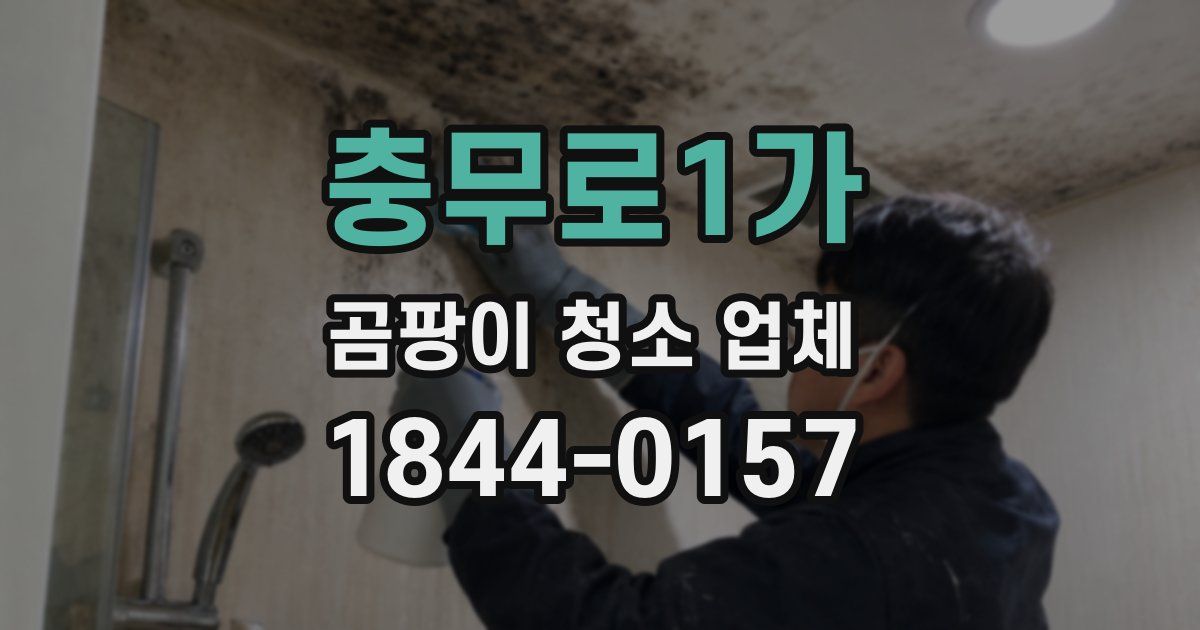 충무로1가 곰팡이 청소 업체