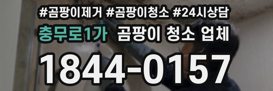 충무로1가 곰팡이 청소 업체
