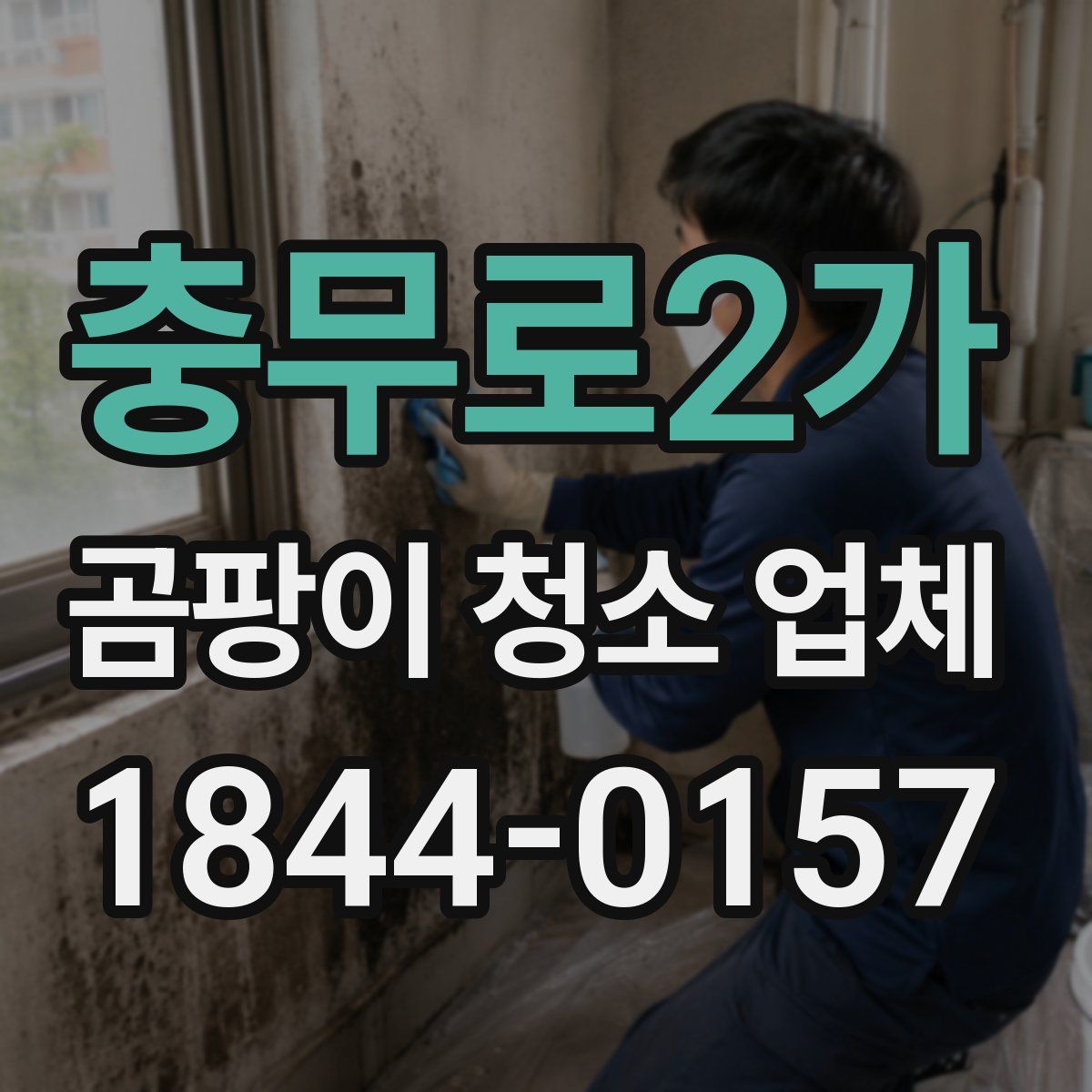 충무로2가 곰팡이 청소 업체