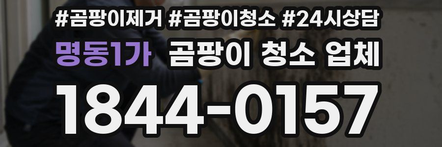 명동1가 곰팡이 청소 업체