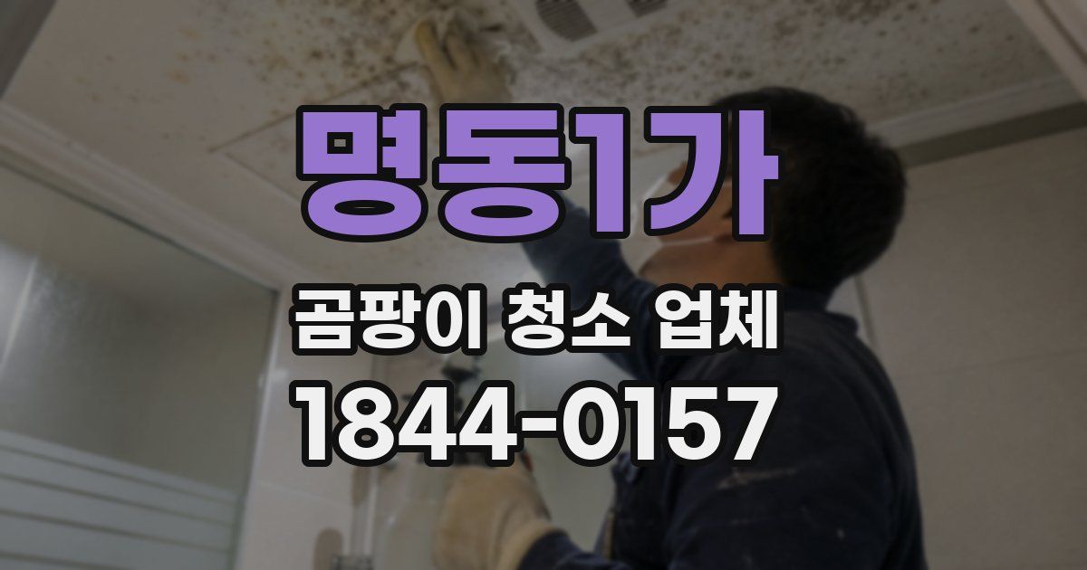 명동1가 곰팡이 청소 업체