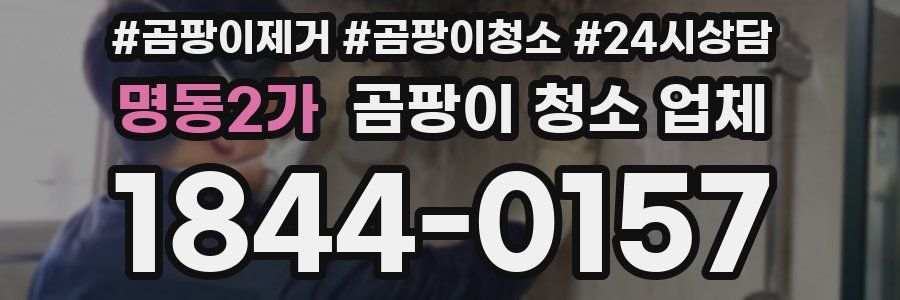 명동2가 곰팡이 청소 업체