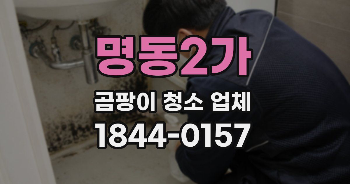명동2가 곰팡이 청소 업체