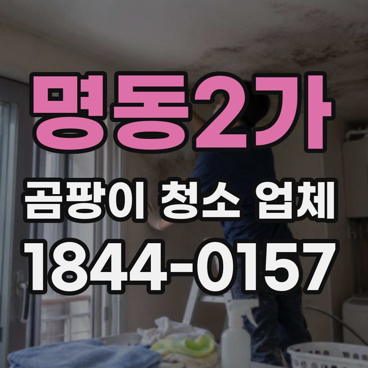 명동2가 곰팡이 청소 업체