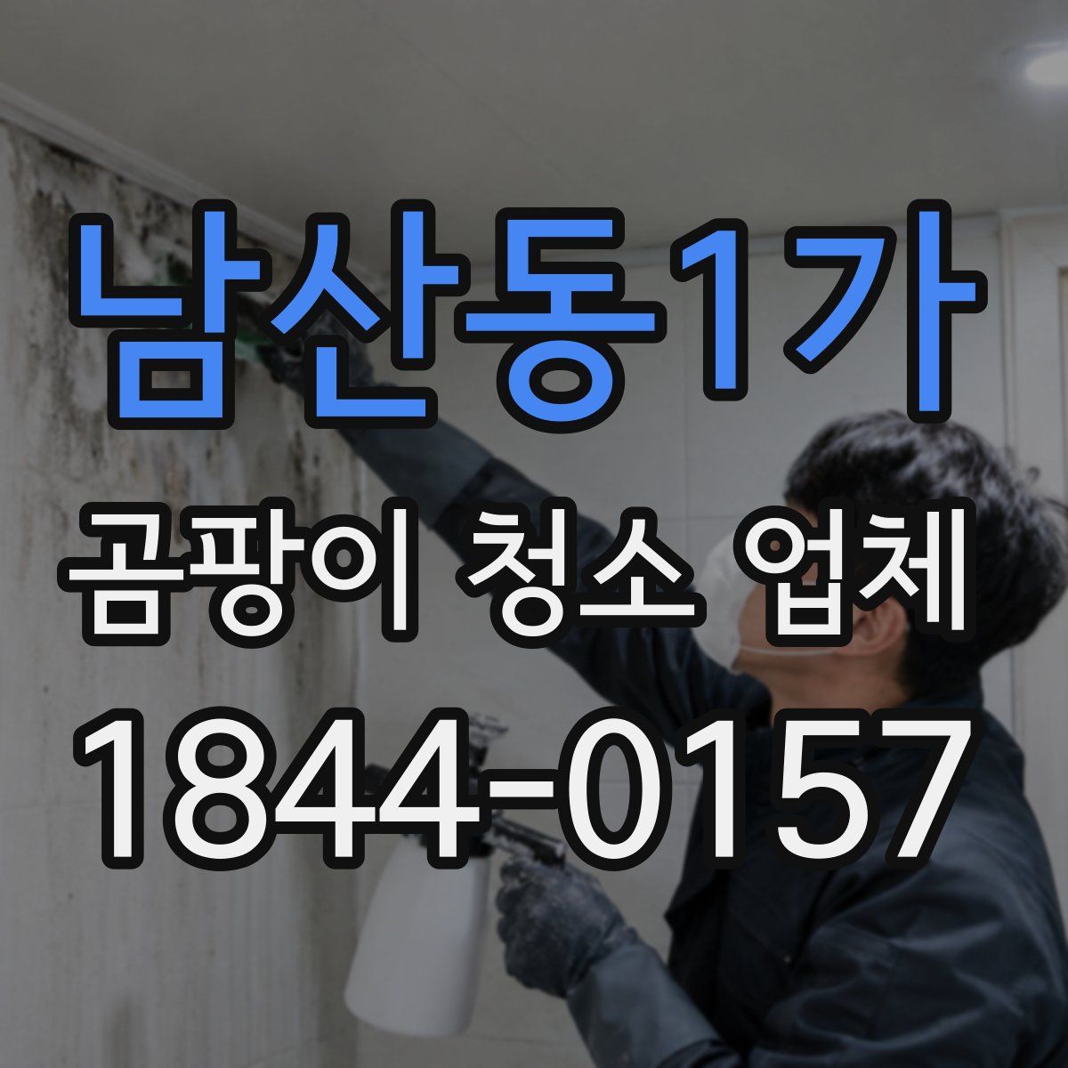 남산동1가 곰팡이 청소 업체