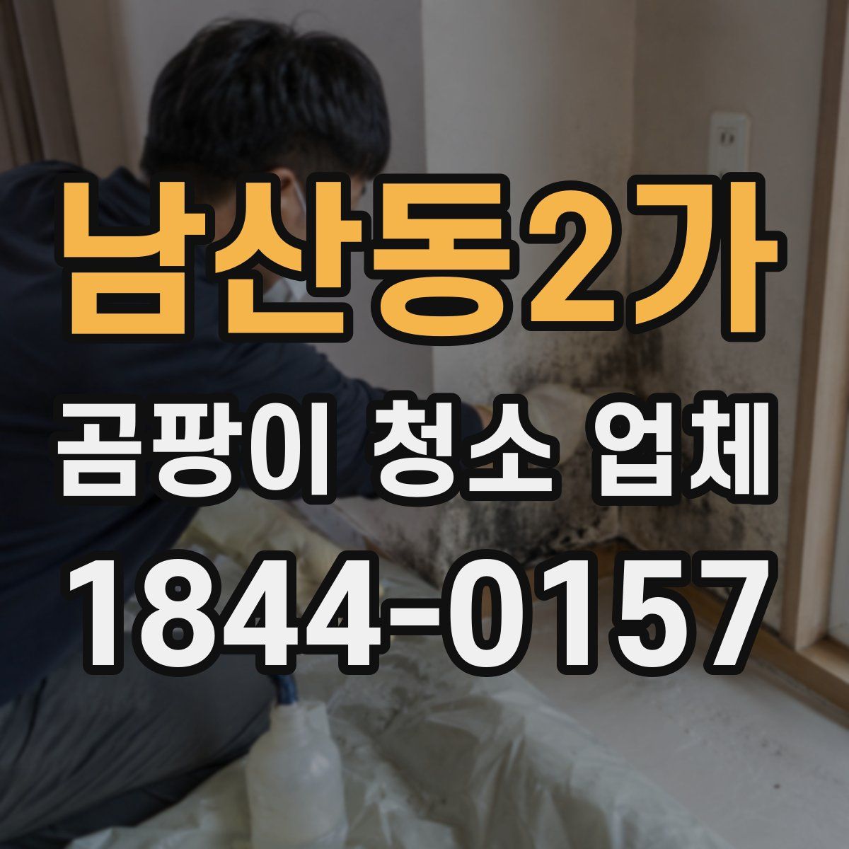 남산동2가 곰팡이 청소 업체