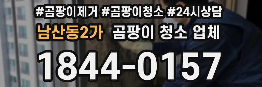 남산동2가 곰팡이 청소 업체