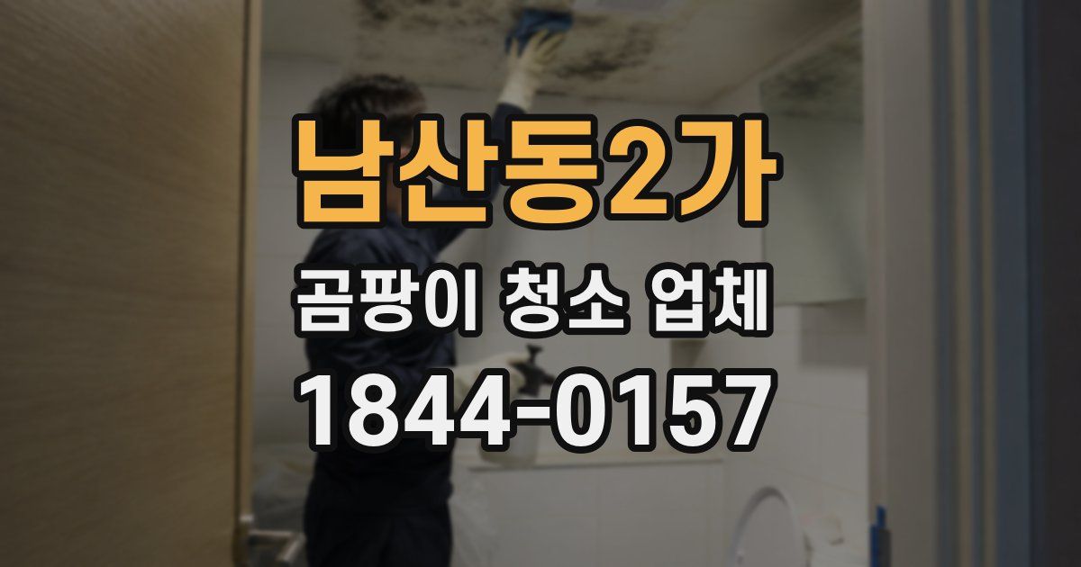 남산동2가 곰팡이 청소 업체