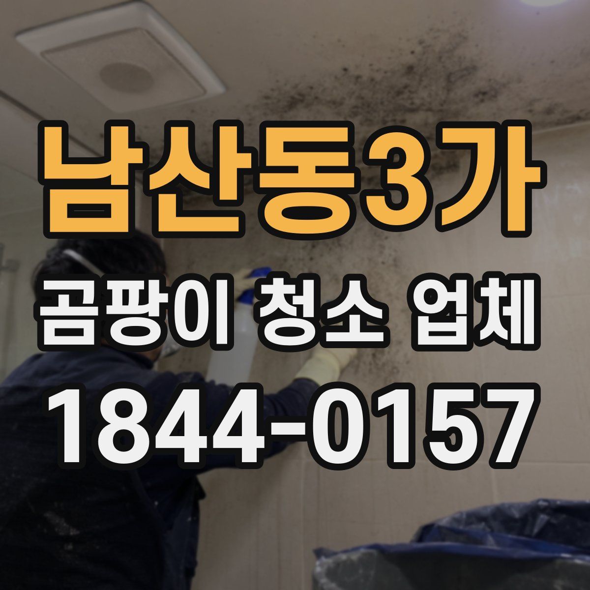 남산동3가 곰팡이 청소 업체