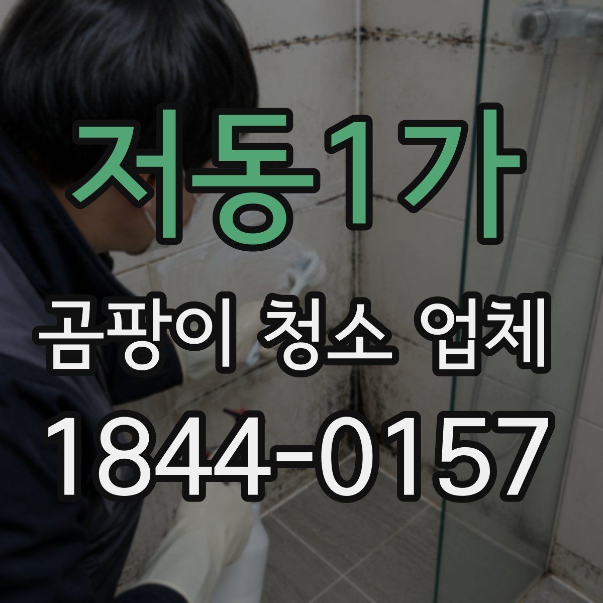 저동1가 곰팡이 청소 업체 현장 진단으로 작업 범위를 정하는 법