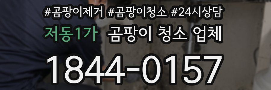 저동1가 곰팡이 청소 업체