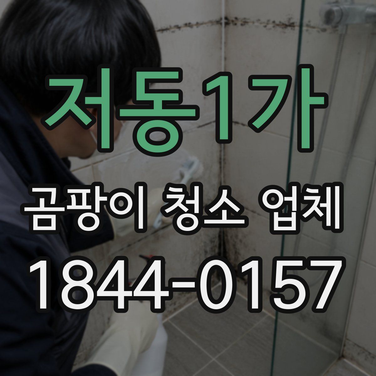 저동1가 곰팡이 청소 업체