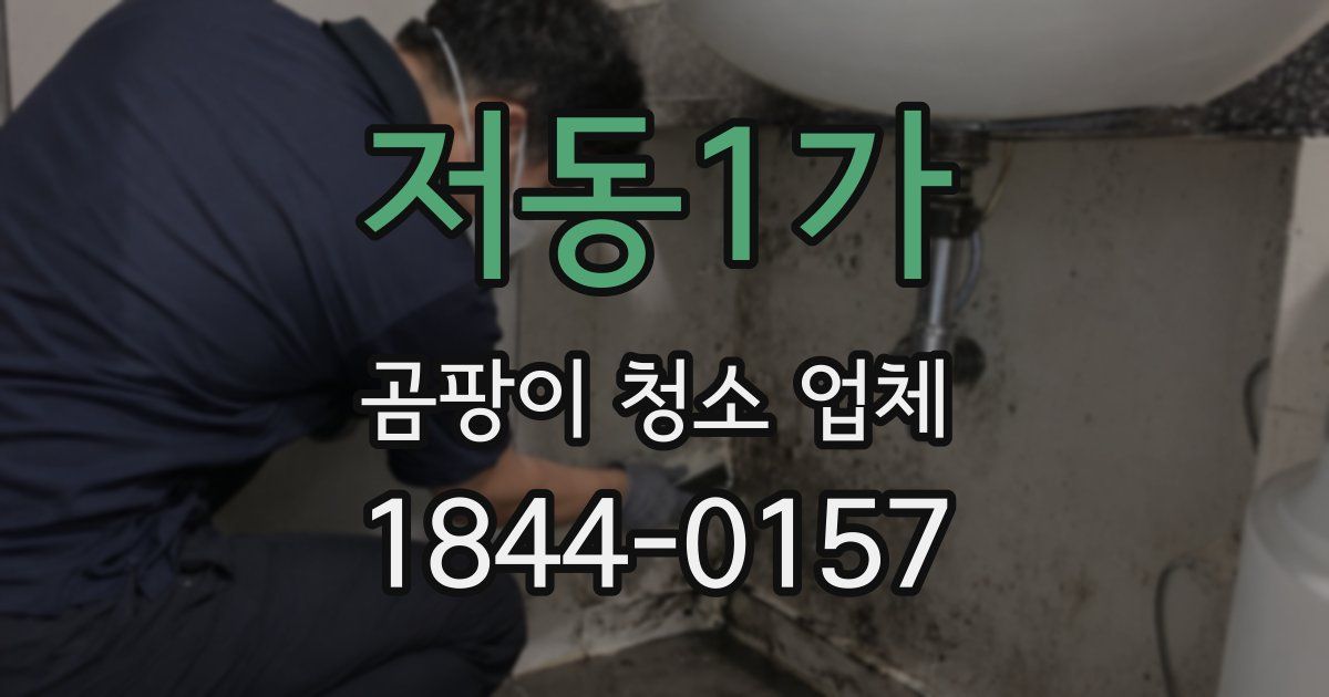 저동1가 곰팡이 청소 업체