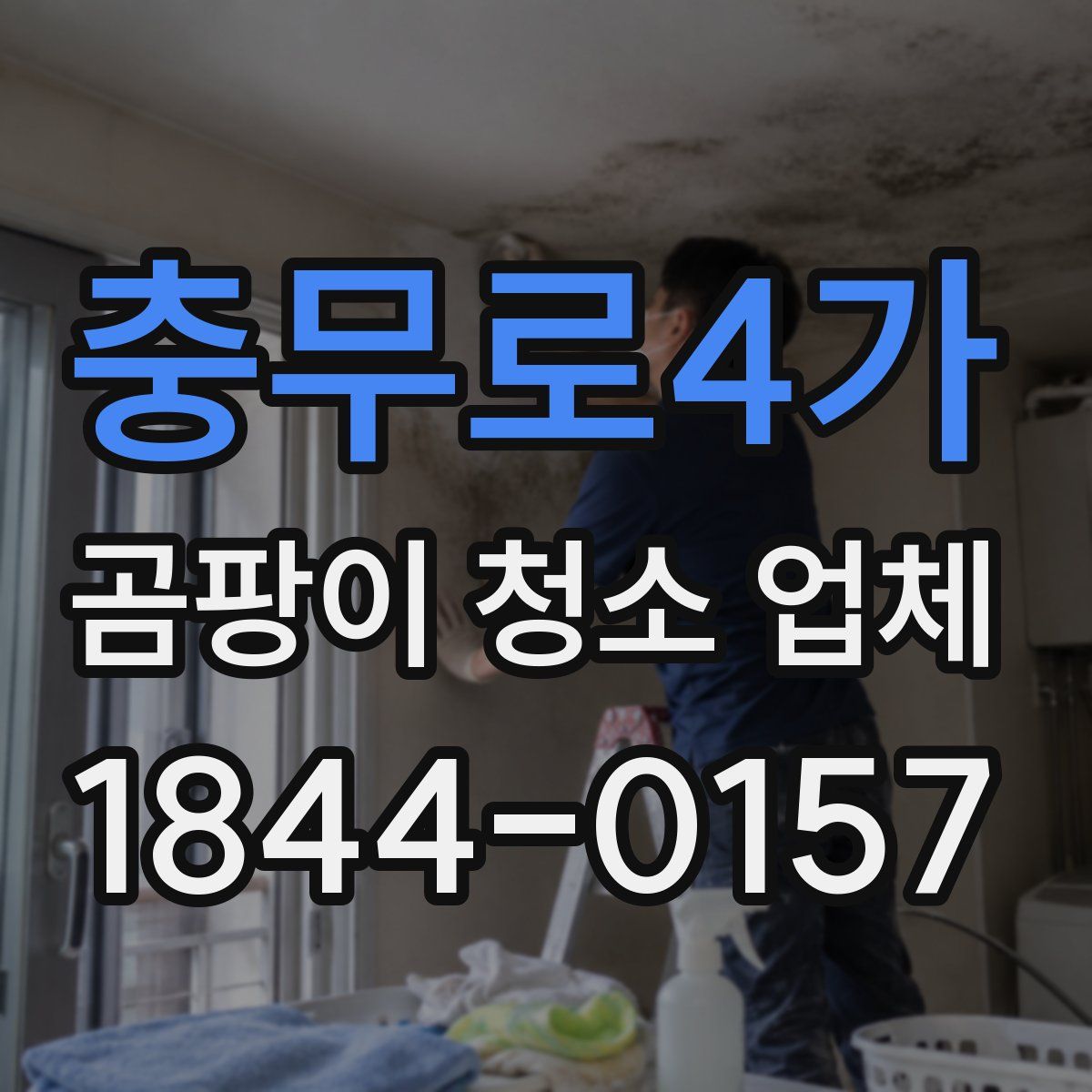 충무로4가 곰팡이 청소 업체